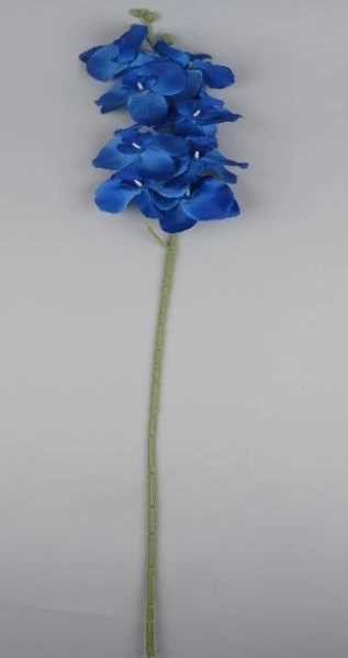 Natural Leaf Peony Plain / Design